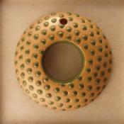 Green polka dots/donut