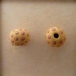 Purple dots on tan bead