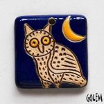 Owl and moon