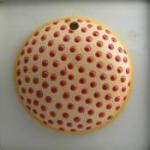red polka dots