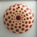 round, burgundy circles on white backgro